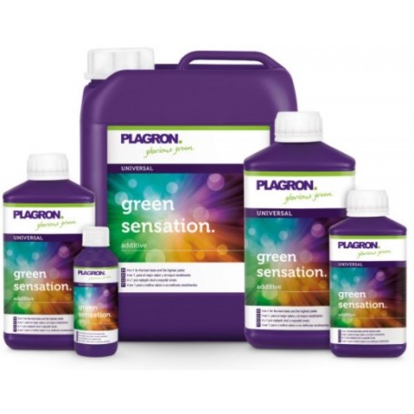 GREEN SENSATION PLAGRON