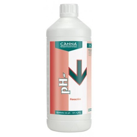 PH DOWN BLOOM