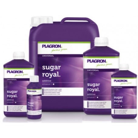 SUGAR ROYAL PLAGRON